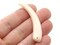 8 53mm Vintage Ivory Colored Pointy Tooth Beads Or Plastic Claw Beads